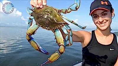 Marmaris'den Köyceğiz Gölü ve Dalyan Turu